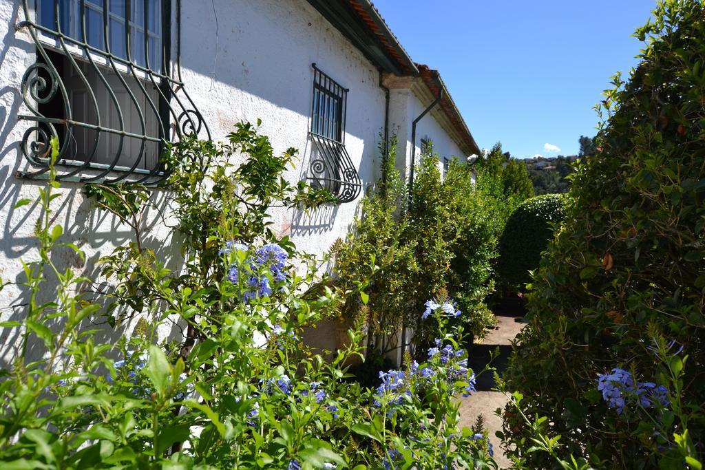 Bed and Breakfast Casa Do Campo - Turismo De Habitacao Celorico De Basto Exterior foto